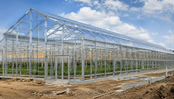 Greenhouse illustration
