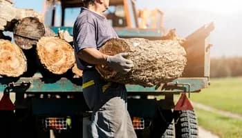 The Best Log Trailers for Different Types of Logging